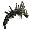 Preserved Vertebrae